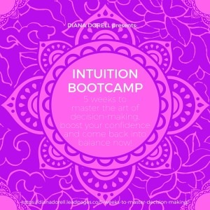 Intuition bootcamp